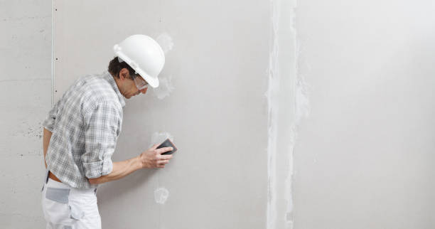 Best Custom Drywall Designs  in Artondale, WA